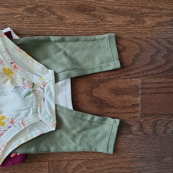 Carter's Girls Outfits - BNWT - Striped, Butterfly & Flowers Design - 9 Months - Picture 6 of 7